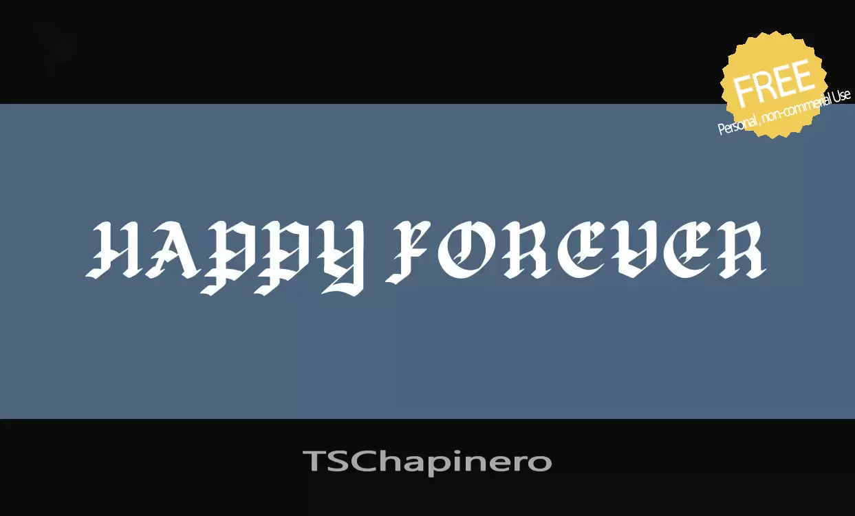 「TSChapinero」字体效果图