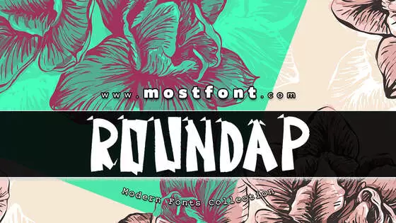 Typographic Design of Roundap