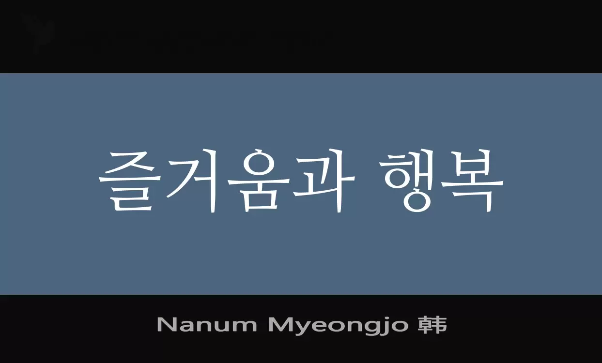 「Nanum-Myeongjo-韩」字体效果图
