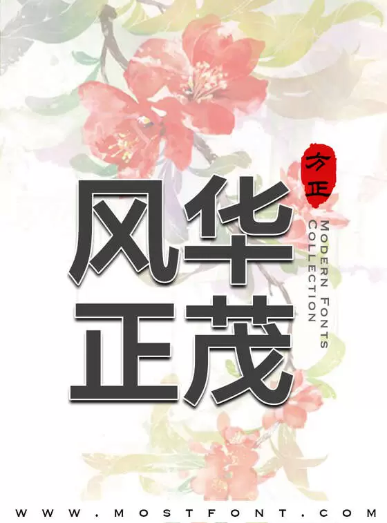 Typographic Design of 方正兰亭中粗黑简体