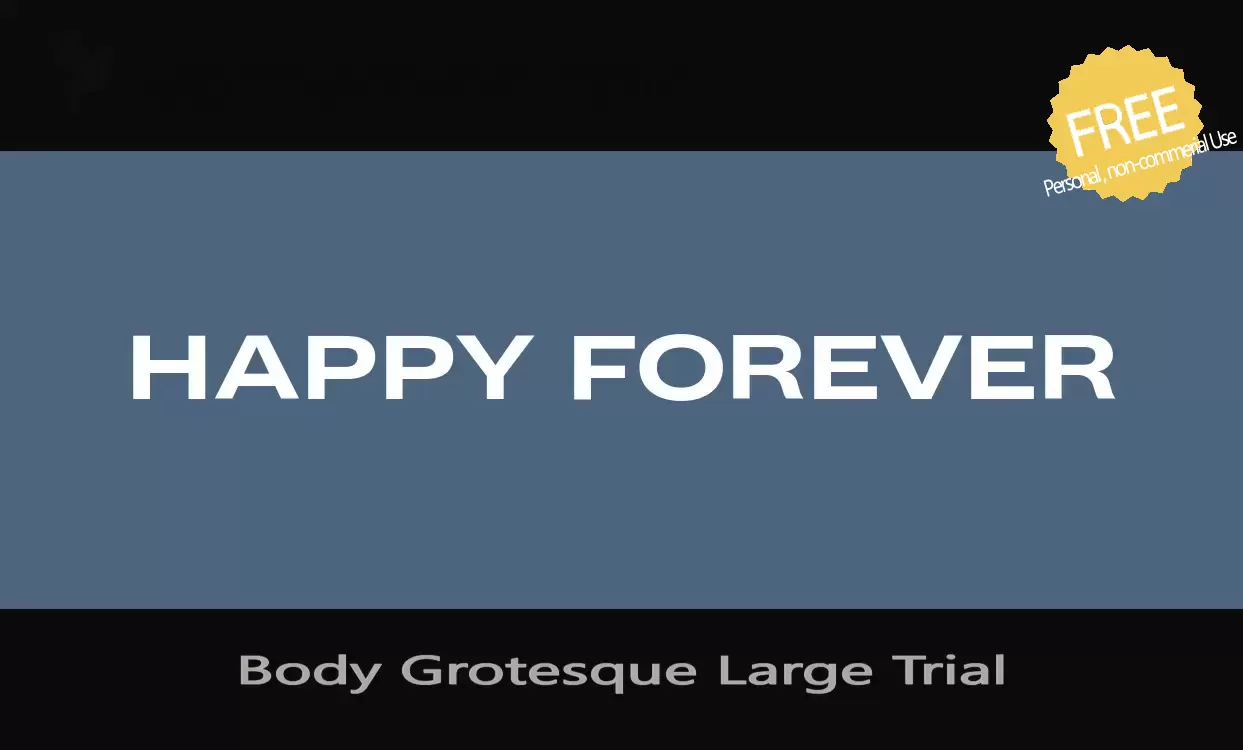 「Body-Grotesque-Large-Trial」字体效果图
