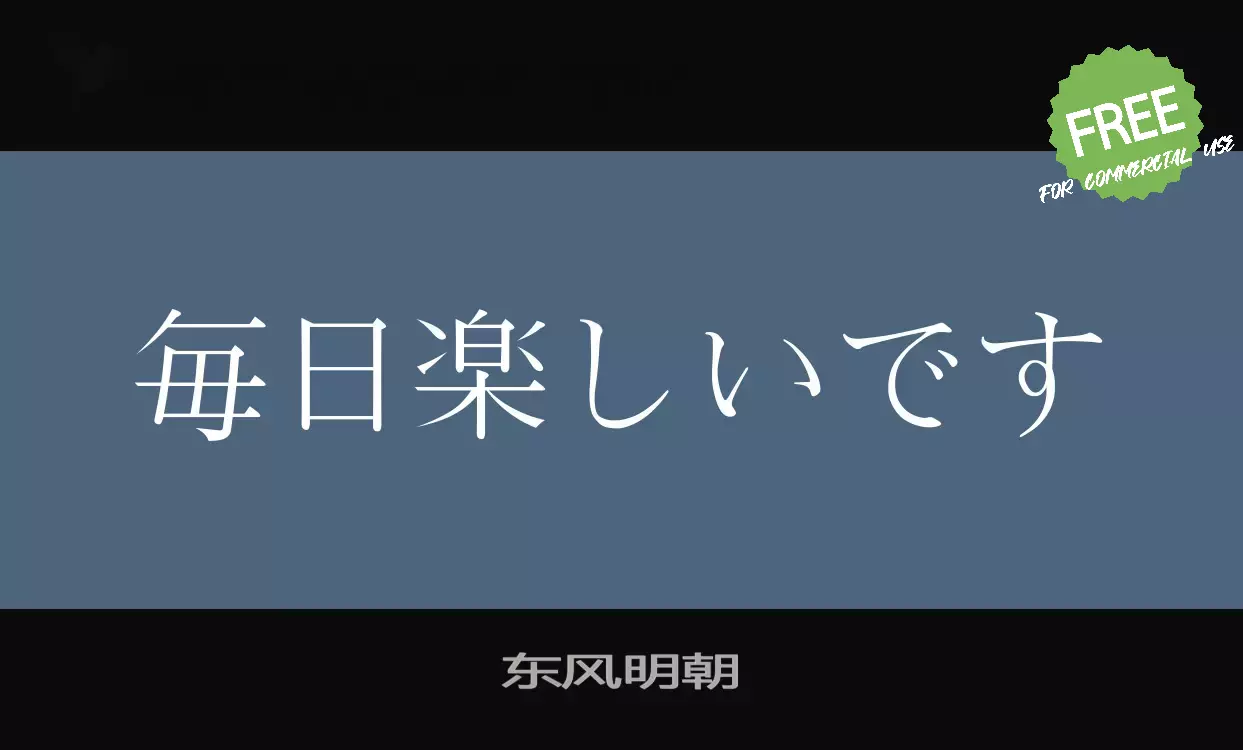 「东风明朝」字体效果图