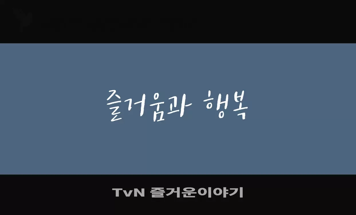 「TvN-즐거운이야기」字体效果图