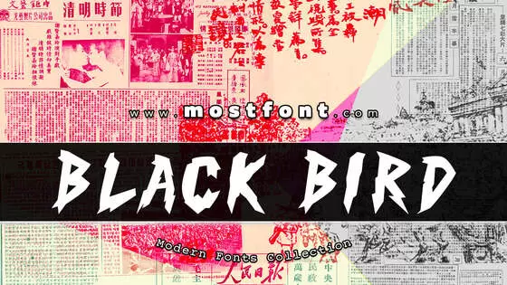 Typographic Design of Black-Bird