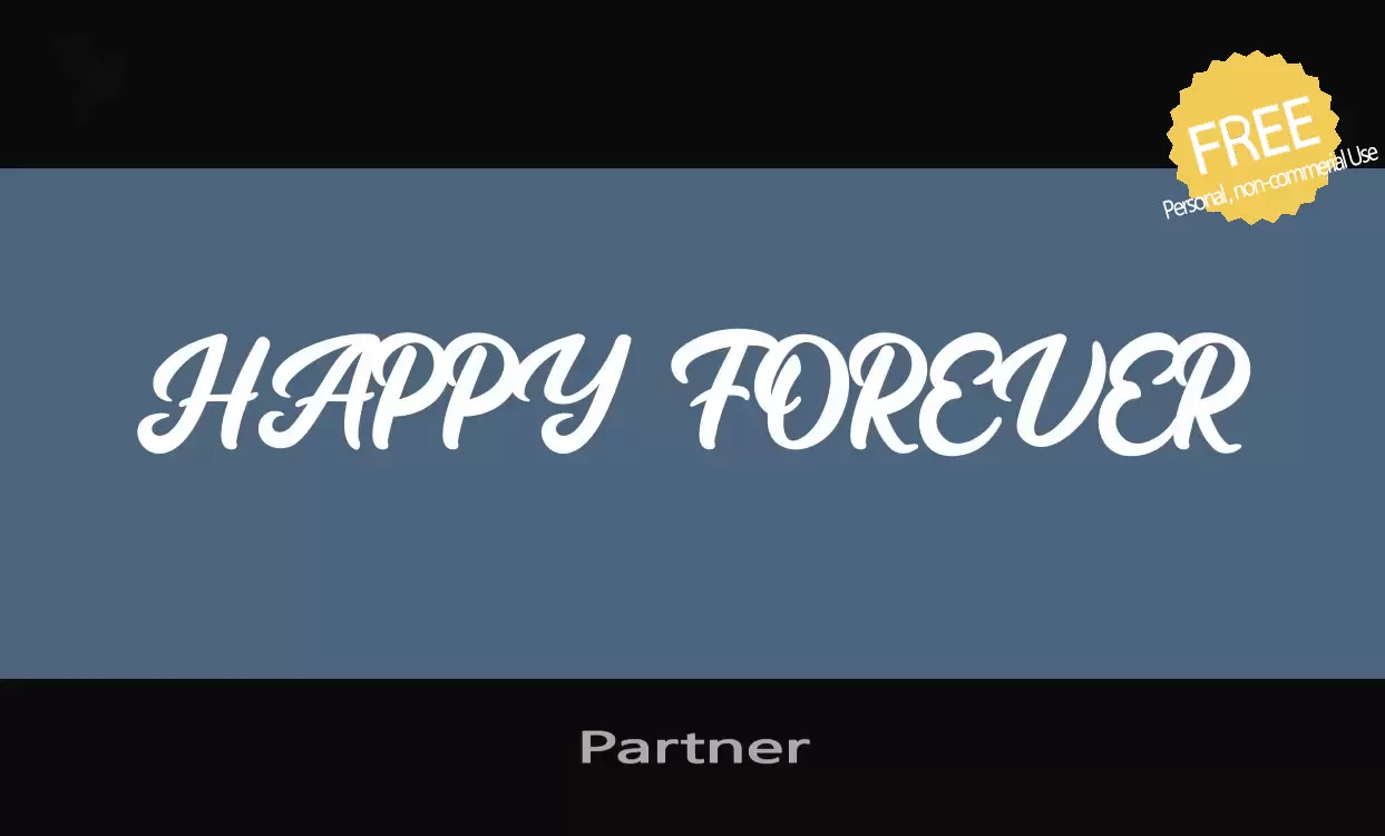 Font Sample of Partner