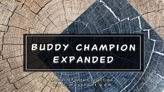 Typographic Design of Buddy-Champion-Expanded