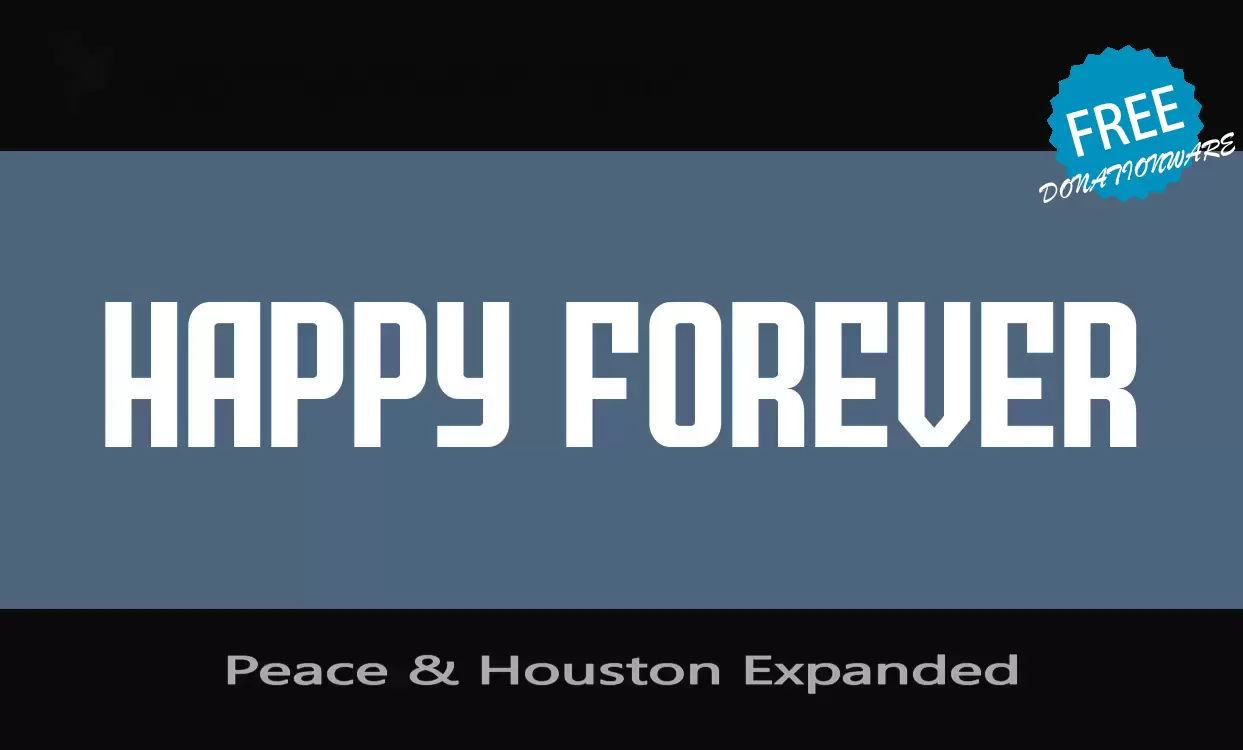「Peace-&-Houston-Expanded」字体效果图