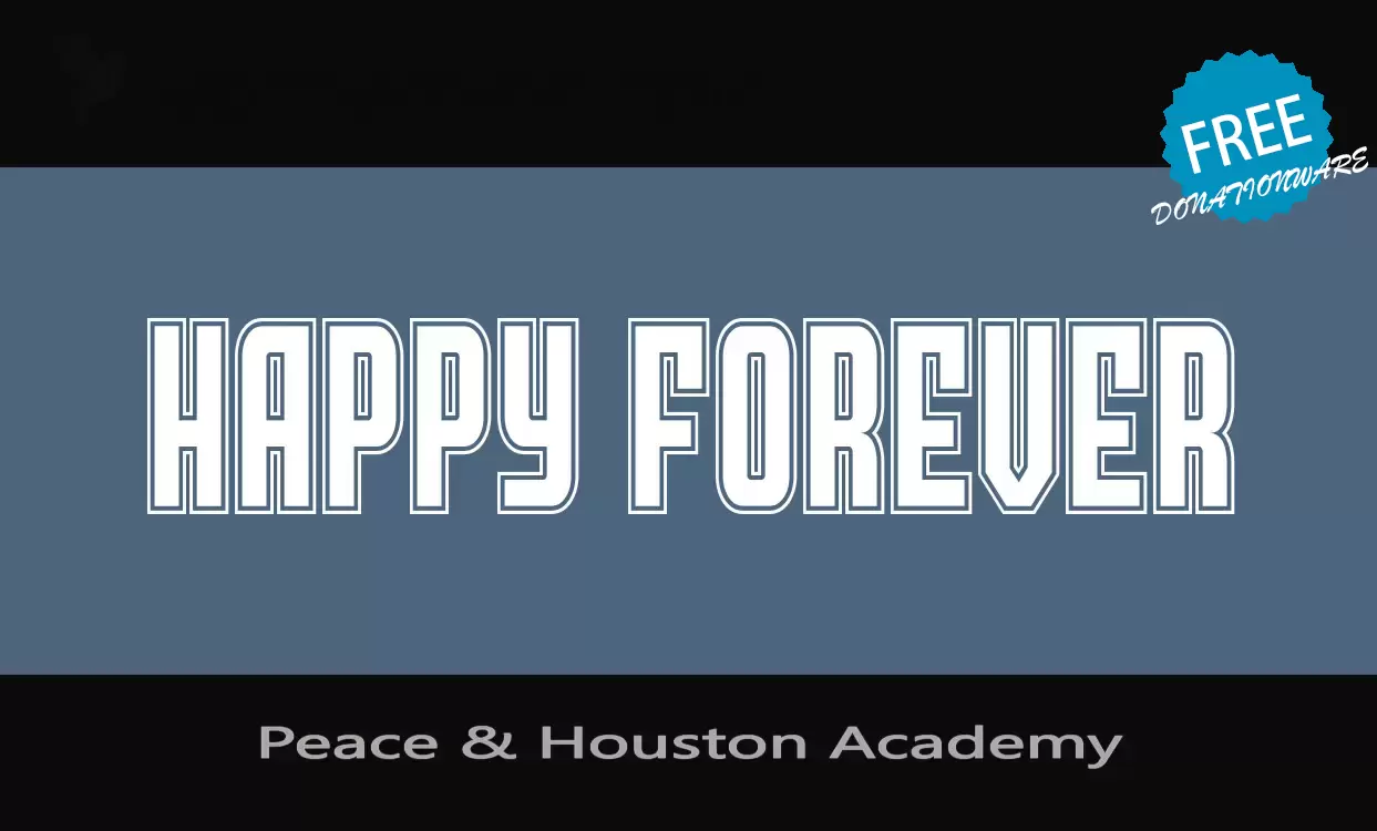 「Peace-&-Houston-Academy」字体效果图