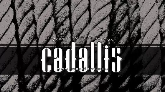 「Cadallis」字体排版样式