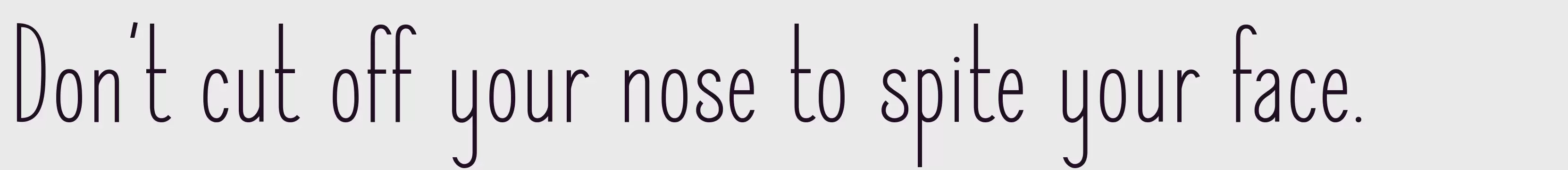 「Elegant Sans Regular」字体效果图