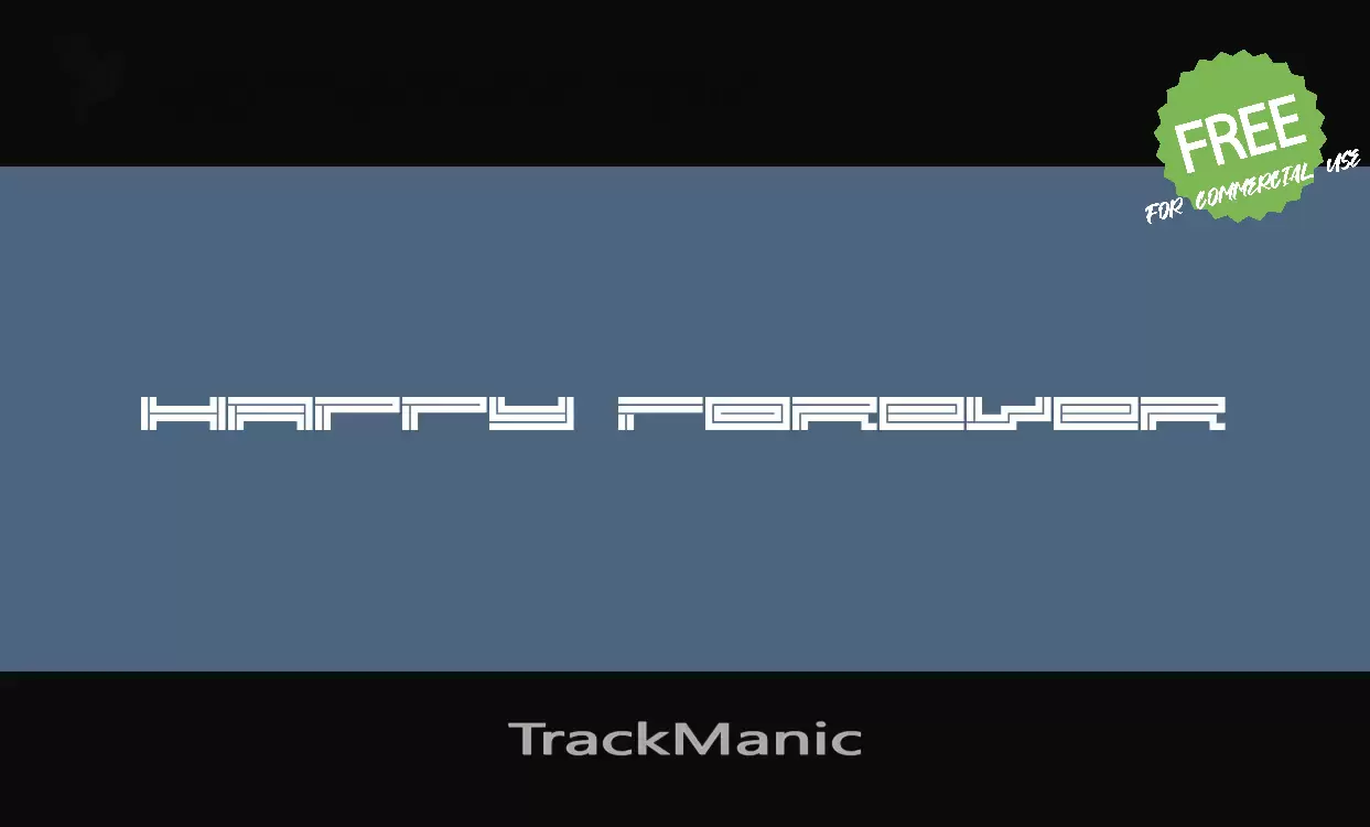 Sample of TrackManic