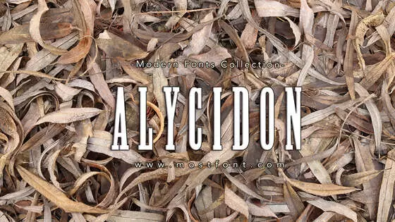 「Alycidon」字体排版样式