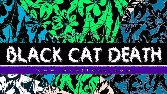 「Black-Cat-Death」字体排版图片