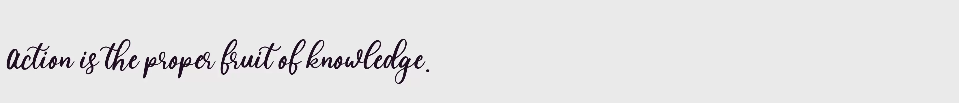 「blossom」字体效果图