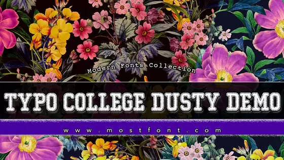 「Typo-College-Dusty-Demo」字体排版样式
