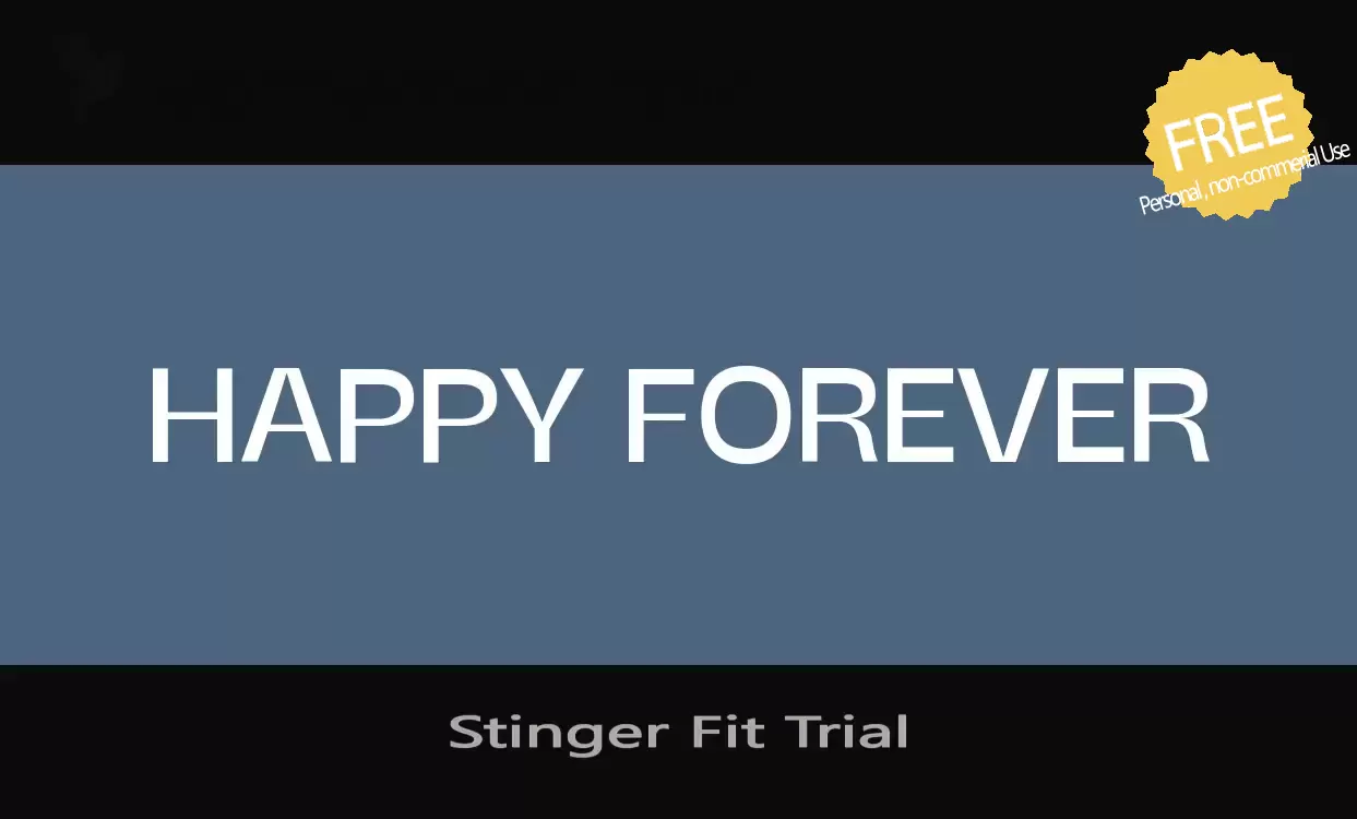 「Stinger-Fit-Trial」字体效果图