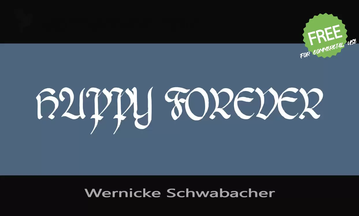 「Wernicke-Schwabacher」字体效果图