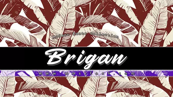 「Brigan」字体排版图片