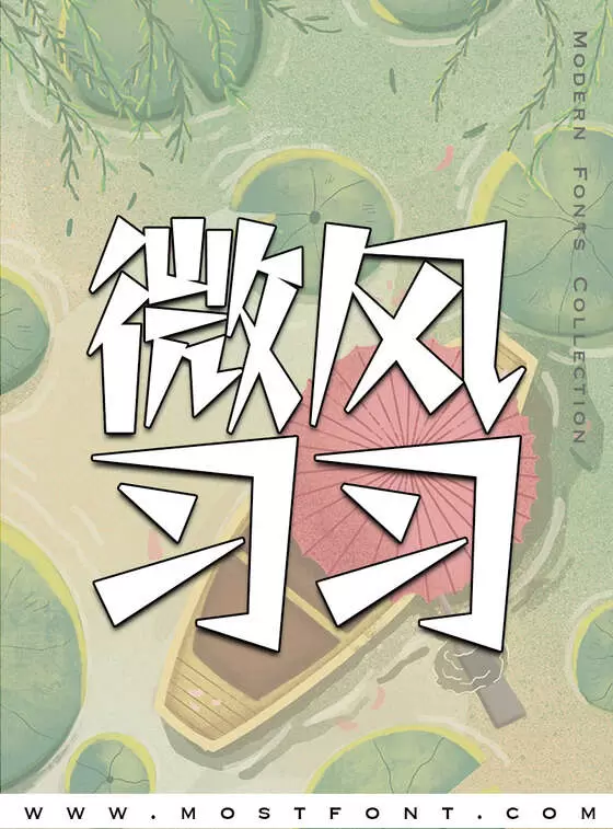 Typographic Design of 雷盖体