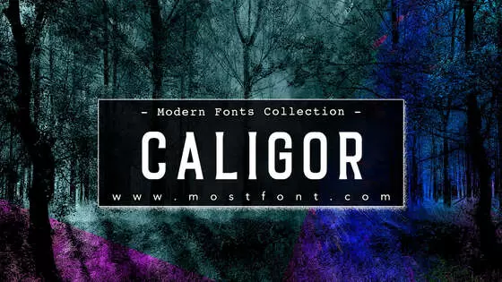 Typographic Design of Caligor