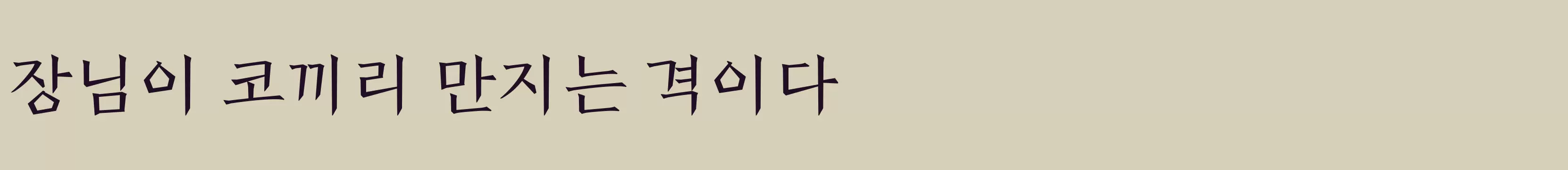 Preview Of 전주완판본체 각 L