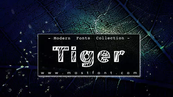 「Tiger」字体排版样式