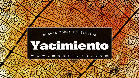 Typographic Design of Yacimiento