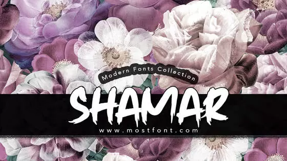 Typographic Design of Shamar