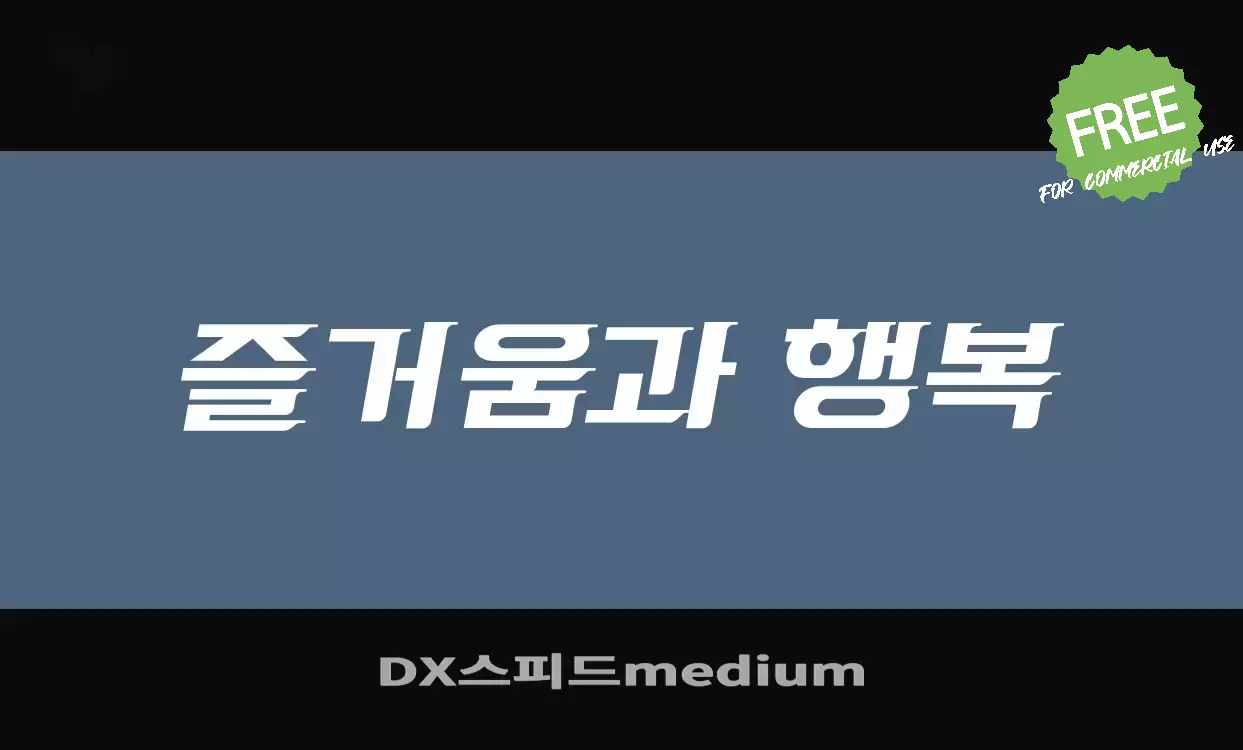 「DX스피드medium」字体效果图