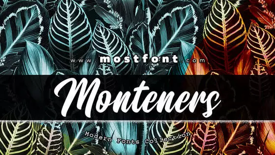 Typographic Design of Monteners-Script
