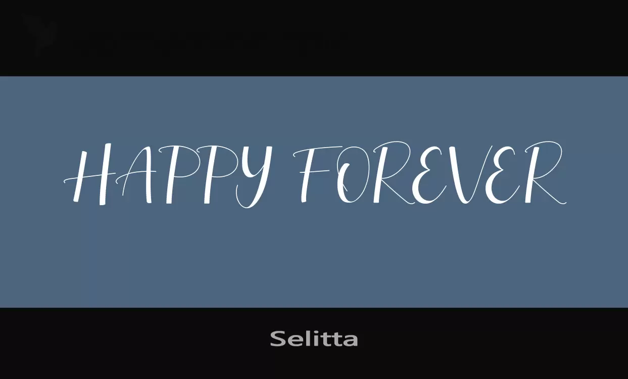 「Selitta」字体效果图