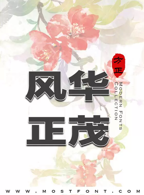 Typographic Design of 方正兰亭特黑扁_GBK