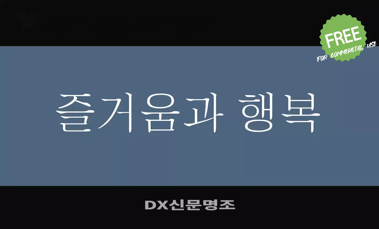 「DX신문명조」字体效果图