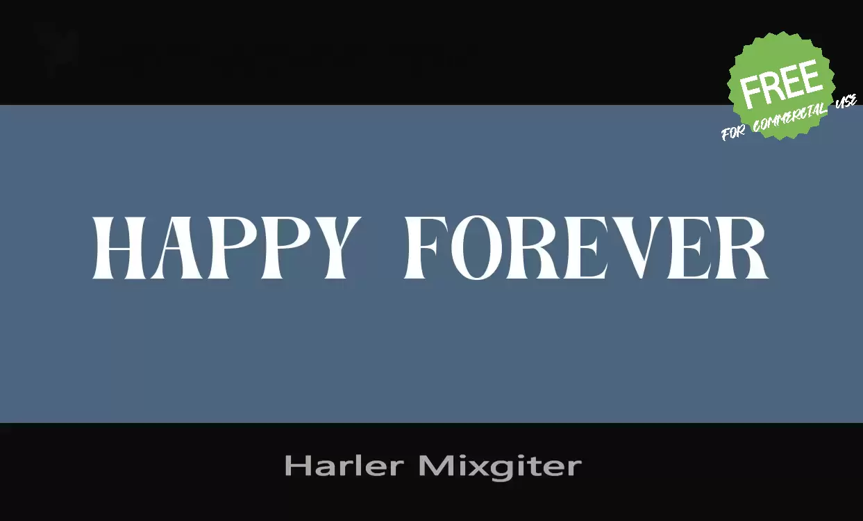 「Harler-Mixgiter」字体效果图