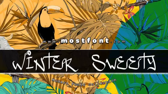 「Winter-Sweety」字体排版图片