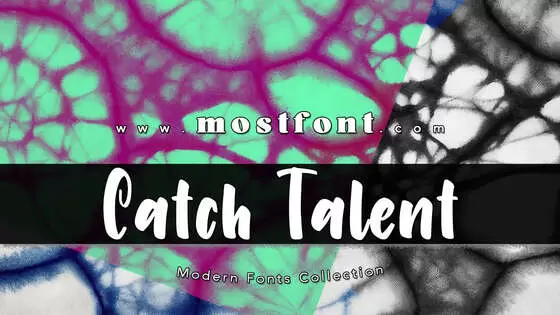 「Catch-Talent」字体排版图片
