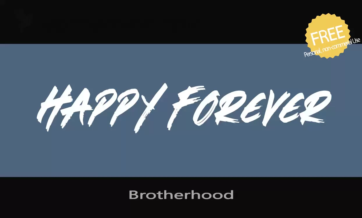「Brotherhood」字体效果图