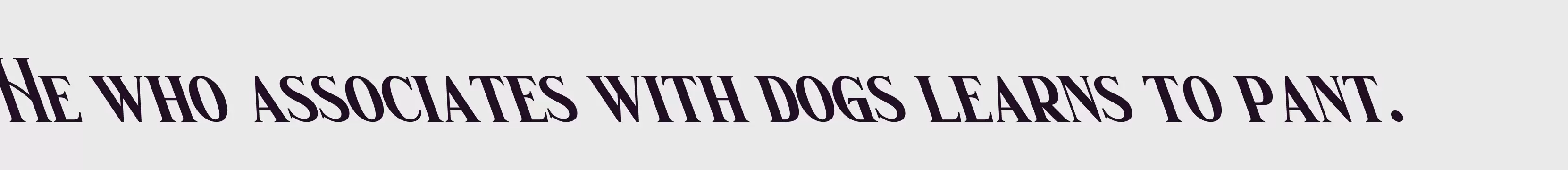 「Wishleman Oblique」字体效果图