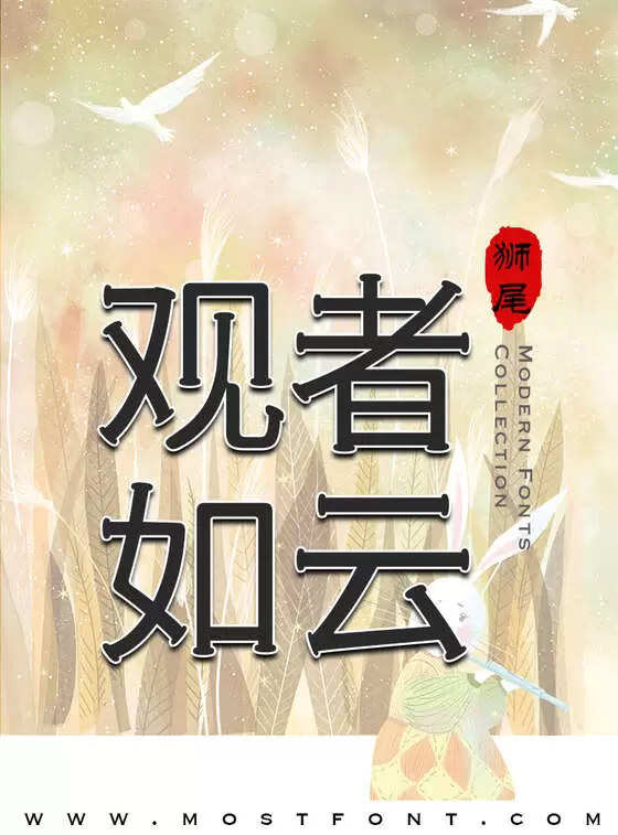 Typographic Design of 狮尾火腿黑体