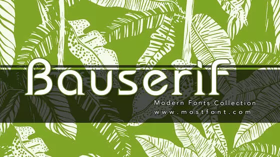 Typographic Design of Bauserif