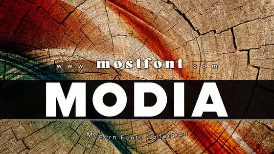 Typographic Design of Modia-NonCommercial