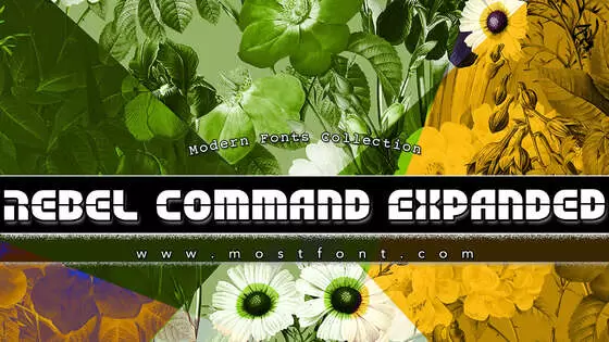 「Rebel-Command-Expanded」字体排版样式