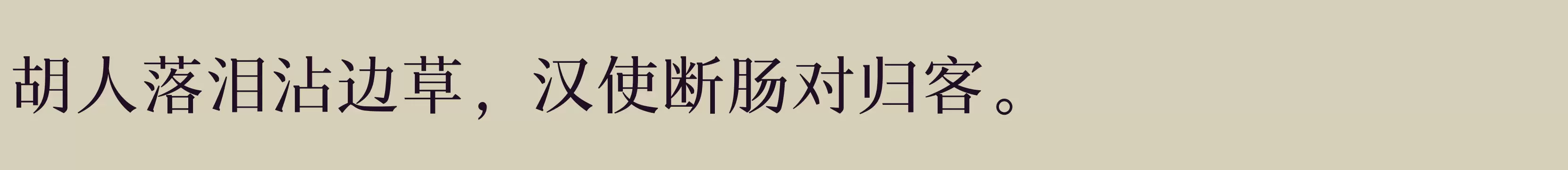 Preview Of 汉仪新人文宋W