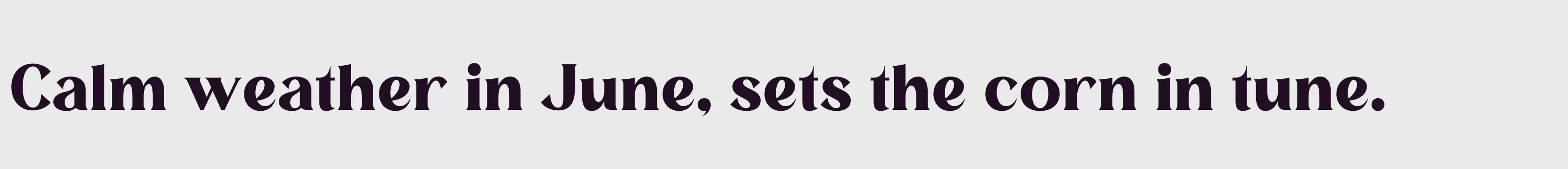 「MELISA」字体效果图