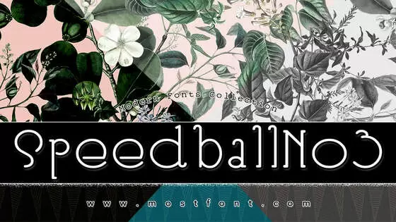 Typographic Design of SpeedballNo3