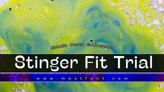 Typographic Design of Stinger-Fit-Trial