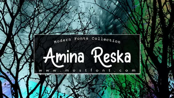 Typographic Design of Amina-Reska