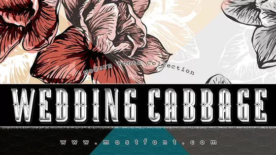 「Wedding-Cabbage」字体排版样式