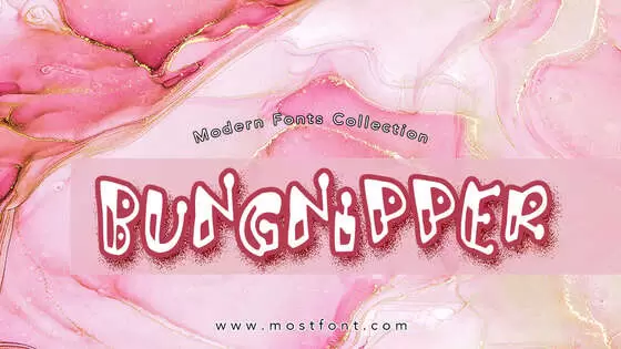 Typographic Design of Bungnipper