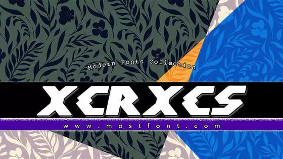 Typographic Design of XERXES